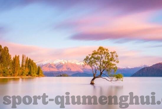 球体网足球比分-探秘球体网足球比分，数据背后的足球世界与观赛新体验