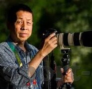 足球直播比分牌制作-零基础入门，手把手教你打造专业级足球直播比分牌